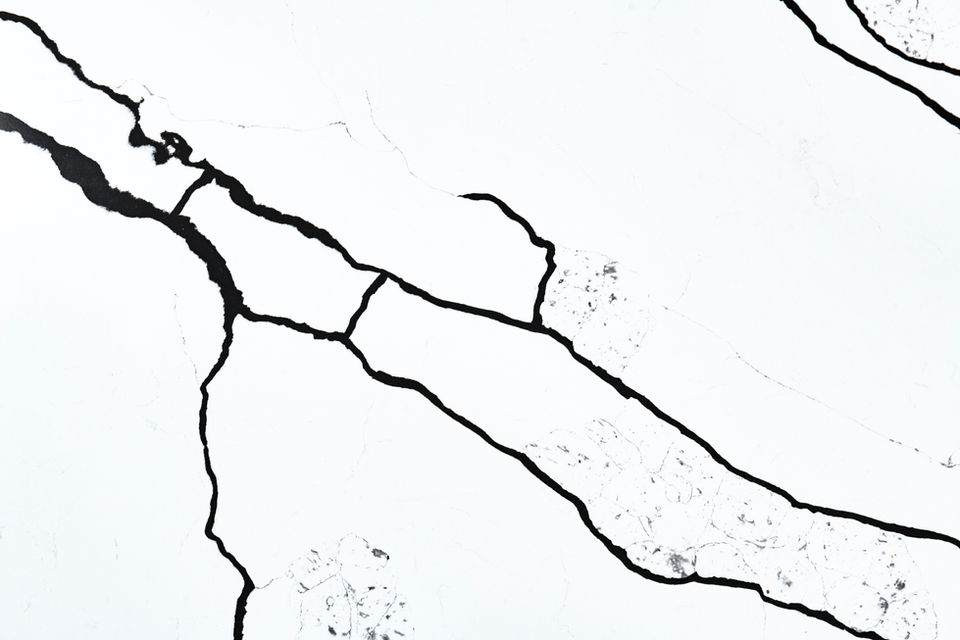 Calacatta Shadowline