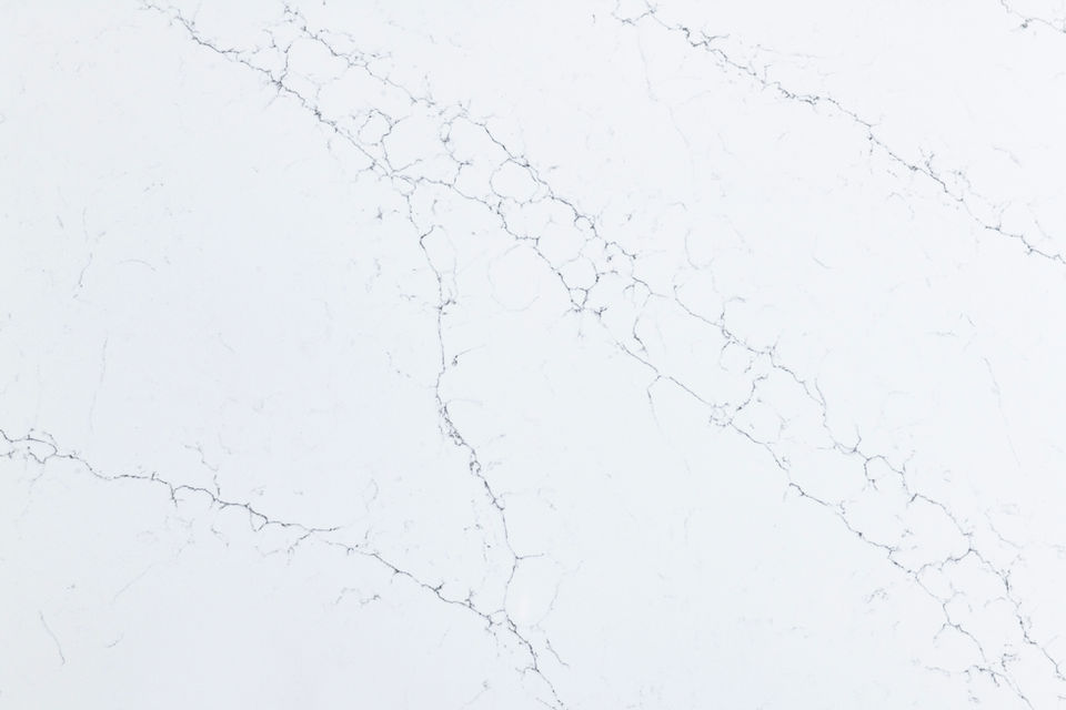 Calacatta Venato White